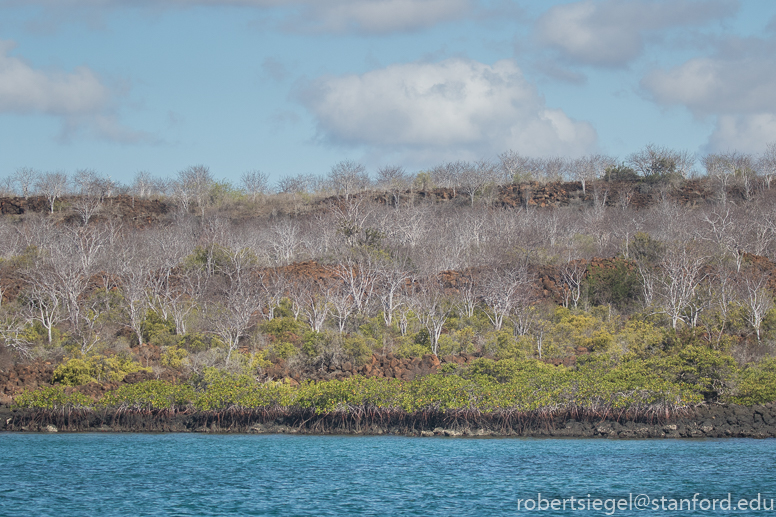 galapagos